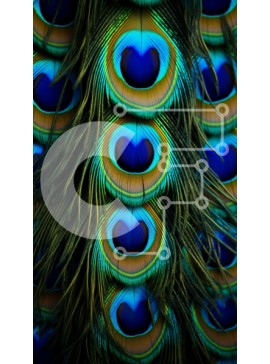 Σετ των 2 Intra Συλλεκτικό Ξύλινο Παζλ Plywood  4mm - Εκπληκτική κοντινή πλάνο από φτερά παγωνιού με μεταλλική λάμψη Σε Ξύλινο Κουτί - Διαστάσεις: 10x10 cm – 25 κομμάτια