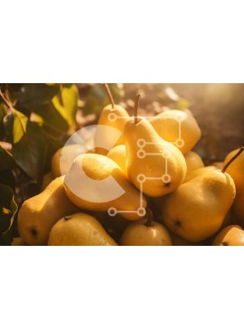 Σετ των 2 Intra Συλλεκτικό Ξύλινο Παζλ Plywood  4mm - Στοίβα από ώριμα κίτρινα αχλάδια Σε Ξύλινο Κουτί - Διαστάσεις: 10x10 cm – 25 κομμάτια