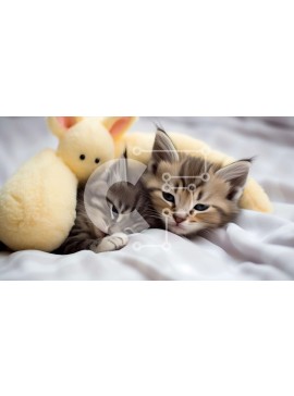 Σετ των 2 Intra Συλλεκτικό Ξύλινο Παζλ Plywood  4mm - Δύο γατάκια που ξεκουράζονται στο κρεβάτι με τα γεμιστά ζώα Σε Ξύλινο Κουτί - Διαστάσεις: 10x10 cm – 25 κομμάτια