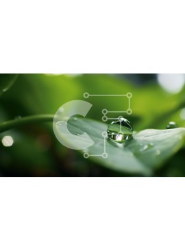 Intra Συλλεκτικό Ξύλινο Παζλ Plywood  4mm - Μακρο πλάνο σταγόνα νερού σε πράσινο φύλλο Σε Ξύλινο Κουτί - Διαστάσεις: 10x10 cm – 25 κομμάτια