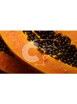 Σετ των 2 Intra Συλλεκτικό Ξύλινο Παζλ Plywood  4mm - Μισοκομμένη ώριμη παπάγια με σάρκα πορτοκαλιού και μαύρους σπόρους Σε Ξύλινο Κουτί - Διαστάσεις: 10x10 cm – 25 κομμάτια