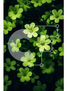 Σετ των 2 Intra Συλλεκτικό Ξύλινο Παζλ Plywood  4mm - Πράσινα λουλούδια στο σκοτάδι Σε Ξύλινο Κουτί - Διαστάσεις: 10x10 cm – 25 κομμάτια