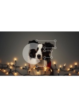 Σετ των 2 Intra Συλλεκτικό Ξύλινο Παζλ Plywood  4mm - Σκύλος Border Collie που κάθεται ανάμεσα στα φώτα των Χριστουγέννων Σε Ξύλινο Κουτί - Διαστάσεις: 10x10 cm – 25 κομμάτια