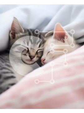 Σετ των 2 Intra Συλλεκτικό Ξύλινο Παζλ Plywood  4mm - Δύο γατάκια που κοιμούνται μαζί σε ένα κρεβάτι Σε Ξύλινο Κουτί - Διαστάσεις: 10x10 cm – 25 κομμάτια