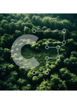 Intra Συλλεκτικό Ξύλινο Παζλ Plywood  4mm - Αεροφωτογραφία του δάσους σε σχήμα καρδιάς από πράσινα δέντρα Σε Ξύλινο Κουτί - Διαστάσεις: 10x10 cm – 25 κομμάτια