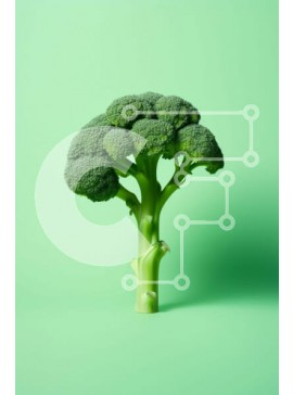 Σετ των 2 Intra Συλλεκτικό Ξύλινο Παζλ Plywood  4mm - Πράσινο φυτό μπρόκολου στο έδαφος Σε Ξύλινο Κουτί - Διαστάσεις: 10x10 cm – 25 κομμάτια