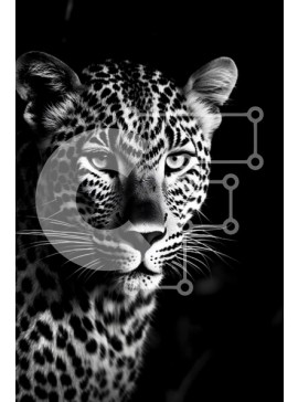 Σετ των 2 Intra Συλλεκτικό Ξύλινο Παζλ Plywood  4mm - Έντονο γρύλισμα λεοπάρδαλης σε ασπρόμαυρη φωτογραφία Σε Ξύλινο Κουτί - Διαστάσεις: 10x10 cm – 25 κομμάτια