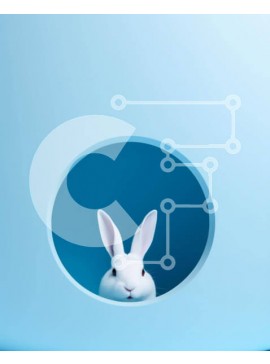 Σετ των 2 Intra Συλλεκτικό Ξύλινο Παζλ Plywood  4mm - Λευκό λαγουδάκι που κρυφοκοιτάζει από την τρύπα σε μπλε φόντο Σε Ξύλινο Κουτί - Διαστάσεις: 10x10 cm – 25 κομμάτια