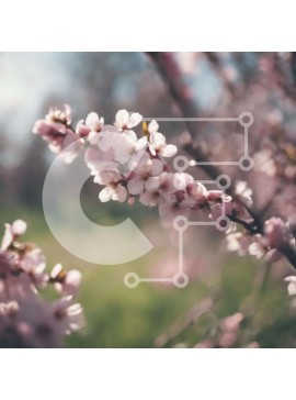 Intra Συλλεκτικό Ξύλινο Παζλ Plywood  4mm - Ροζ ανθισμένο κλαδί δέντρου την άνοιξη ή στις αρχές του καλοκαιριού Σε Ξύλινο Κουτί - Διαστάσεις: 10x10 cm – 25 κομμάτια