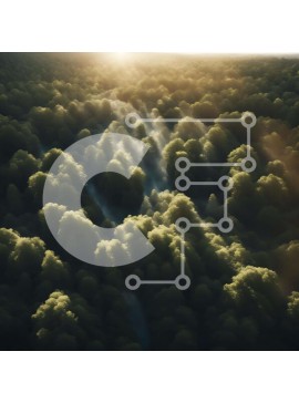 Intra Συλλεκτικό Ξύλινο Παζλ Plywood  4mm - Εναέρια άποψη του καταπράσινου δάσους με τα ρέματα Σε Ξύλινο Κουτί - Διαστάσεις: 10x10 cm – 25 κομμάτια