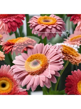 Intra Συλλεκτικό Ξύλινο Παζλ Plywood  4mm - Πολύχρωμα λουλούδια μαργαρίτας σε άνθιση Σε Ξύλινο Κουτί - Διαστάσεις: 10x10 cm – 25 κομμάτια