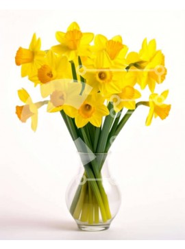 Intra Συλλεκτικό Ξύλινο Παζλ Plywood  4mm - Διαφορετική ανθοσυνθέσεις με κίτρινους ασφόδελους σε γυάλινο βάζο Σε Ξύλινο Κουτί - Διαστάσεις: 10x10 cm – 25 κομμάτια