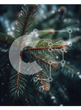 Intra Συλλεκτικό Ξύλινο Παζλ Plywood  4mm - Κοντινή εικόνα ενός κλάδου πεύκου με σταγονίδια νερού Σε Ξύλινο Κουτί - Διαστάσεις: 10x10 cm – 25 κομμάτια