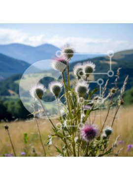 Intra Συλλεκτικό Ξύλινο Παζλ Plywood  4mm - Πεδίο με ψηλά χόρτα και γαϊδουράγκαθα με βουνά στο φόντο Σε Ξύλινο Κουτί - Διαστάσεις: 10x10 cm – 25 κομμάτια