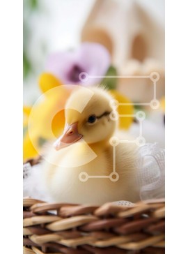 Σετ των 2 Intra Συλλεκτικό Ξύλινο Παζλ Plywood  4mm - Αξιολάτρευτο κίτρινο παπάκι σε ένα καλάθι με λουλούδια Σε Ξύλινο Κουτί - Διαστάσεις: 10x10 cm – 25 κομμάτια