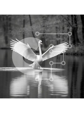 Intra Συλλεκτικό Ξύλινο Παζλ Plywood  4mm - Λευκός Κύκνος που απογειώνεται από το νερό - Όμορφη εικόνα Σε Ξύλινο Κουτί - Διαστάσεις: 10x10 cm – 25 κομμάτια