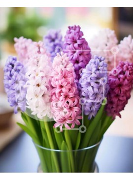 Intra Συλλεκτικό Ξύλινο Παζλ Plywood  4mm - Πολύχρωμοι υάκινθοι σε γυάλινο βάζο Σε Ξύλινο Κουτί - Διαστάσεις: 10x10 cm – 25 κομμάτια