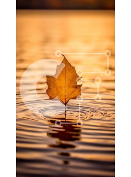 Σετ των 2 Intra Συλλεκτικό Ξύλινο Παζλ Plywood  4mm - Εκπληκτική λήψη ηλιοβασιλέματος με κίτρινο φύλλο που επιπλέει στην ήρεμη λίμνη Σε Ξύλινο Κουτί - Διαστάσεις: 10x10 cm – 25 κομμάτια