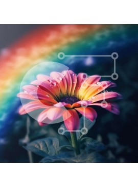 Intra Συλλεκτικό Ξύλινο Παζλ Plywood  4mm - Εκπληκτική εικόνα ενός λουλουδιού μαργαρίτας με σταγόνες βροχής και ένα ουράνιο τόξο Σε Ξύλινο Κουτί - Διαστάσεις: 10x10 cm – 25 κομμάτια