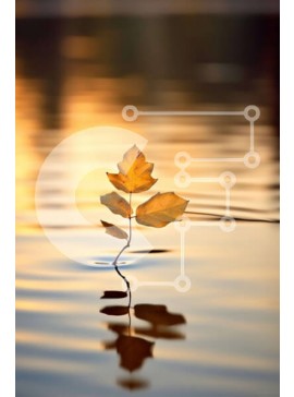 Σετ των 2 Intra Συλλεκτικό Ξύλινο Παζλ Plywood  4mm - Όμορφη εικόνα ενός ενιαίου κίτρινου φύλλου σε μια ήρεμη λίμνη στο ηλιοβασίλεμα Σε Ξύλινο Κουτί - Διαστάσεις: 10x10 cm – 25 κομμάτια