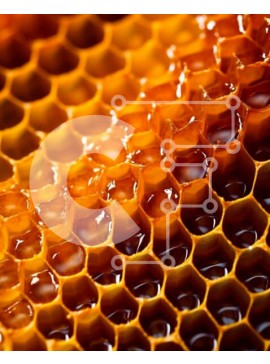 Σετ των 2 Intra Συλλεκτικό Ξύλινο Παζλ Plywood  4mm - Όμορφο κοντινό πλάνο της κηρήθρας με γλυκό μέλι που στάζει Σε Ξύλινο Κουτί - Διαστάσεις: 10x10 cm – 25 κομμάτια