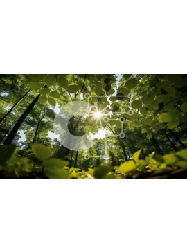 Intra Συλλεκτικό Ξύλινο Παζλ Plywood  4mm - Ηλιόλουστο δάσος με ψηλά δέντρα και πράσινα φύλλα Σε Ξύλινο Κουτί - Διαστάσεις: 10x10 cm – 25 κομμάτια