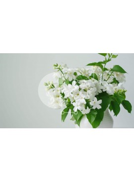 Intra Συλλεκτικό Ξύλινο Παζλ Plywood  4mm - Λευκά λουλούδια σε βάζο με πράσινα φύλλα Σε Ξύλινο Κουτί - Διαστάσεις Puzzle: 10x10 cm – 25 κομμάτια