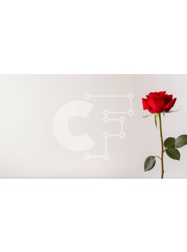 Σετ των 2 Intra Συλλεκτικό Ξύλινο Παζλ Plywood  4mm - Μονό κόκκινο τριαντάφυλλο σε άσπρο φόντο Σε Ξύλινο Κουτί - Διαστάσεις: 10x10 cm – 25 κομμάτια