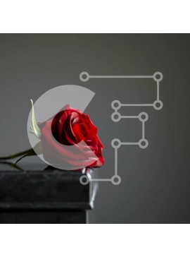 Intra Συλλεκτικό Ξύλινο Παζλ Plywood  4mm - Κόκκινο τριαντάφυλλο στην κενή ταφόπλακα Σε Ξύλινο Κουτί - Διαστάσεις: 10x10 cm – 25 κομμάτια