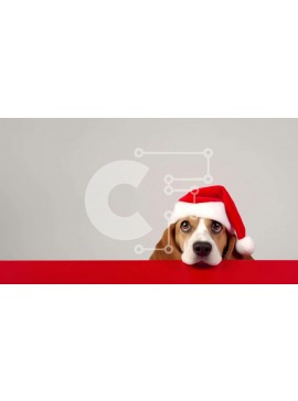 Intra Συλλεκτικό Ξύλινο Παζλ Plywood  4mm - Σκύλος Beagle με καπέλο Άγιου Βασίλη που κρυφοκοιτάζει Σε Ξύλινο Κουτί - Διαστάσεις: 10x10 cm – 25 κομμάτια