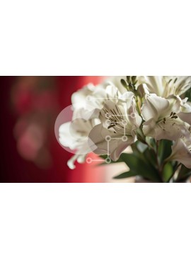 Intra Συλλεκτικό Ξύλινο Παζλ Plywood  4mm - Βάζο με λευκά λουλούδια μπροστά από την κόκκινη κουρτίνα Σε Ξύλινο Κουτί - Διαστάσεις: 10x10 cm – 25 κομμάτια