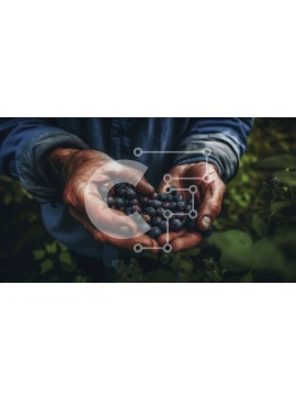 Σετ των 2 Intra Συλλεκτικό Ξύλινο Παζλ Plywood  4mm - Ζουμερά και φρέσκα βατόμουρα στα χέρια ενός ατόμου Σε Ξύλινο Κουτί - Διαστάσεις: 10x10 cm – 25 κομμάτια