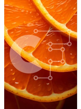 Σετ των 2 Intra Συλλεκτικό Ξύλινο Παζλ Plywood  4mm - Κοντινό πλάνο φέτες πορτοκαλιού με σταγονίδια νερού Σε Ξύλινο Κουτί - Διαστάσεις: 10x10 cm – 25 κομμάτια