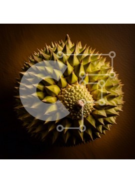 Σετ των 2 Intra Συλλεκτικό Ξύλινο Παζλ Plywood  4mm - Κοντινή όψη του φρούτου Durian σε καφέ φόντο Σε Ξύλινο Κουτί - Διαστάσεις: 10x10 cm – 25 κομμάτια