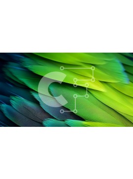 Intra Συλλεκτικό Ξύλινο Παζλ Plywood  4mm - Κοντινό πλάνο με ζωηρά φτερά σε καμβά Σε Ξύλινο Κουτί - Διαστάσεις Puzzle: 10x10 cm – 25 κομμάτια