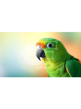 Intra Συλλεκτικό Ξύλινο Παζλ Plywood  4mm - Πράσινος και κίτρινος παπαγάλος σε αφηρημένο πολύχρωμο φόντο Σε Ξύλινο Κουτί - Διαστάσεις: 10x10 cm – 25 κομμάτια