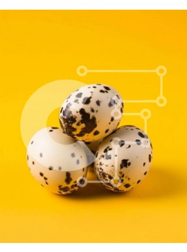 Σετ των 2 Intra Συλλεκτικό Ξύλινο Παζλ Plywood  4mm - Επισημασμένα δαλματικά αυγά σε κίτρινο φόντο Σε Ξύλινο Κουτί - Διαστάσεις: 10x10 cm – 25 κομμάτια