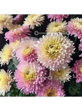 Intra Συλλεκτικό Ξύλινο Παζλ Plywood  4mm - Πολύχρωμο μπουκέτο λουλουδιών σε βάζο Σε Ξύλινο Κουτί - Διαστάσεις: 10x10 cm – 25 κομμάτια