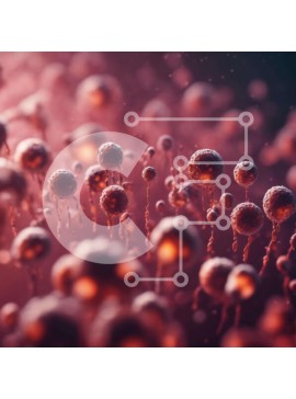 Intra Συλλεκτικό Ξύλινο Παζλ Plywood  4mm - τρισδιάστατη εικόνα μικρών ερυθροκυττάρων που επιπλέουν στον αέρα Σε Ξύλινο Κουτί - Διαστάσεις Puzzle: 10x10 cm – 25 κομμάτια