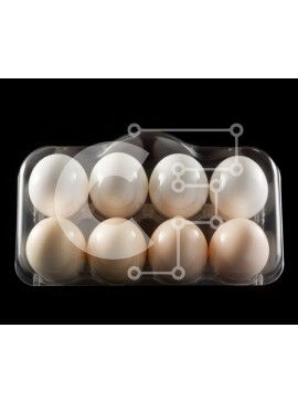 Σετ των 2 Intra Συλλεκτικό Ξύλινο Παζλ Plywood  4mm - Δίσκος με έξι αυγά - λευκό και καφέ Σε Ξύλινο Κουτί - Διαστάσεις: 10x10 cm – 25 κομμάτια