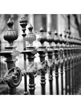 Intra Συλλεκτικό Ξύλινο Παζλ Plywood  4mm - Περίπλοκος φράχτης από σφυρήλατο σίδερο σε μονόχρωμη Σε Ξύλινο Κουτί - Διαστάσεις Puzzle: 10x10 cm – 25 κομμάτια