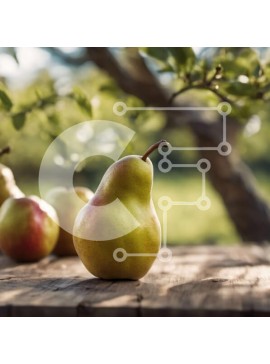 Σετ των 2 Intra Συλλεκτικό Ξύλινο Παζλ Plywood  4mm - Ώριμα αχλάδια σε ένα ξύλινο τραπέζι με πράσινα φύλλα Σε Ξύλινο Κουτί - Διαστάσεις: 10x10 cm – 25 κομμάτια