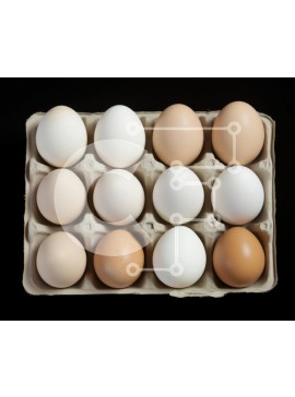 Σετ των 2 Intra Συλλεκτικό Ξύλινο Παζλ Plywood  4mm - Κουτί με αυγά με λευκά και καφέ αυγά στη σειρά Σε Ξύλινο Κουτί - Διαστάσεις: 10x10 cm – 25 κομμάτια