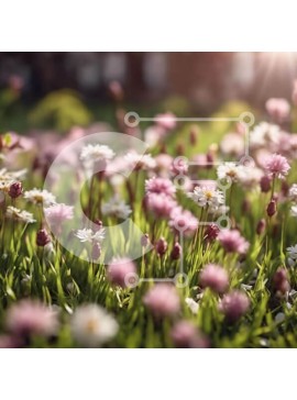 Intra Συλλεκτικό Ξύλινο Παζλ Plywood  4mm - Πεδίο με ροζ και λευκά λουλούδια μαργαρίτας στο φως του ήλιου Σε Ξύλινο Κουτί - Διαστάσεις: 10x10 cm – 25 κομμάτια