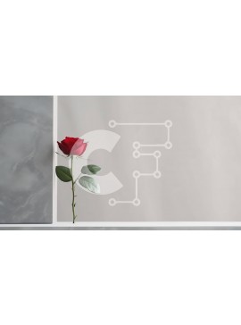 Intra Συλλεκτικό Ξύλινο Παζλ Plywood  4mm - Μονό κόκκινο τριαντάφυλλο που αναπτύσσεται από λευκούς τοίχους Σε Ξύλινο Κουτί - Διαστάσεις: 10x10 cm – 25 κομμάτια