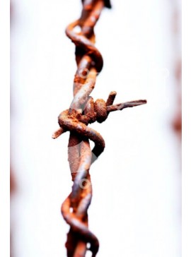 Intra Συλλεκτικό Ξύλινο Παζλ Plywood  4mm - Παλιός και ξεπερασμένος φράχτης από συρματοπλέγματα με αιχμηρές ακίδες Σε Ξύλινο Κουτί - Διαστάσεις Puzzle: 10x10 cm – 25 κομμάτια