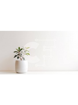 Intra Συλλεκτικό Ξύλινο Παζλ Plywood  4mm - Μικρό αειθαλές δέντρο σε λευκό κεραμικό δοχείο Σε Ξύλινο Κουτί - Διαστάσεις: 10x10 cm – 25 κομμάτια