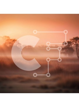 Intra Συλλεκτικό Ξύλινο Παζλ Plywood  4mm - Γαλήνια εικόνα ενός ομιχλώδους τοπίου στο ηλιοβασίλεμα Σε Ξύλινο Κουτί - Διαστάσεις: 10x10 cm – 25 κομμάτια