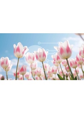 Intra Συλλεκτικό Ξύλινο Παζλ Plywood  4mm - Πεδίο με ροζ και λευκές τουλίπες την άνοιξη Σε Ξύλινο Κουτί - Διαστάσεις: 10x10 cm – 25 κομμάτια