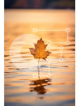 Σετ των 2 Intra Συλλεκτικό Ξύλινο Παζλ Plywood  4mm - Όμορφη εικόνα ενός κίτρινου φύλλου στην ήρεμη λίμνη στο ηλιοβασίλεμα Σε Ξύλινο Κουτί - Διαστάσεις: 10x10 cm – 25 κομμάτια